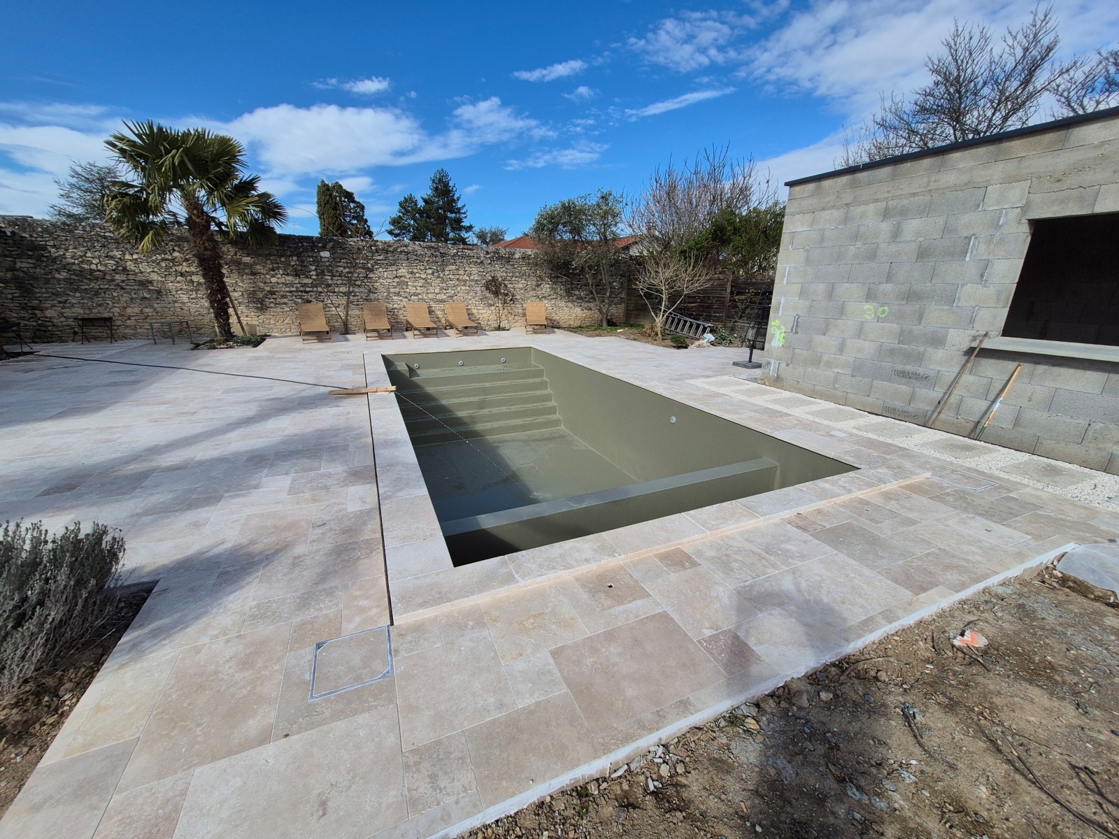 2025, l année du vert