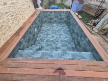 2025, l année du vert