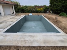 2025, l année du vert