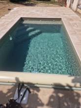 2025, l année du vert